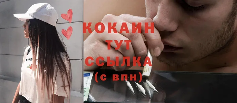 Cocaine Fish Scale  дарнет шоп  Нестеровская 